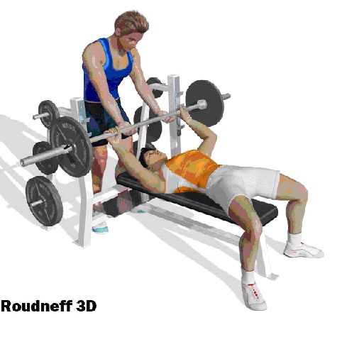 fitness et musculation : pectoraux le développé couché.