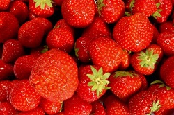 Nutrition :La saison des fraises est bien arrivé. Nous allons pouvoir déguster ce fruit délicieux Les fraises peuvent se manger de nombreuses manières