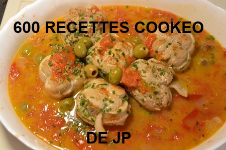 600 recettes cookeo de JP PDF gratuit
