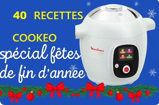 40 recettes cookeo pour les fêtes de fin d'année